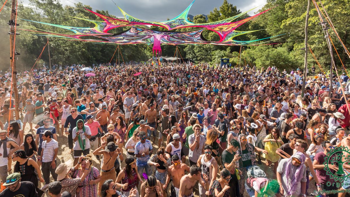 A packed dance floor beneath the canopy in daylight